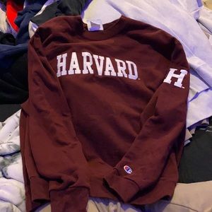 Champion hoodie